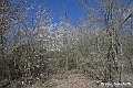 VBS_8855- Risvegli